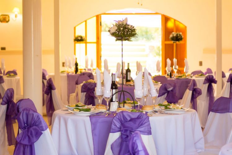 Salón Orgánico