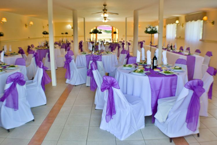 Salón Orgánico